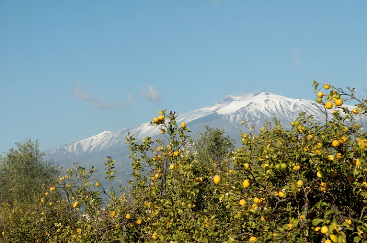 vers l'Etna (1).jpg